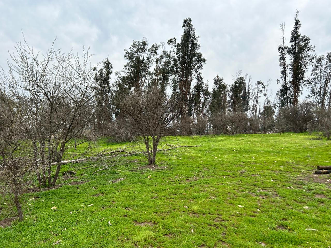 Parcelación Santa Eliana, camino Los Peumos,  Melipilla.